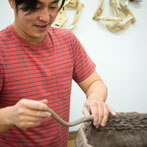 Nao Matsunaga in his studio in London 2016